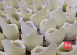 Illustration of how to make wontons 6