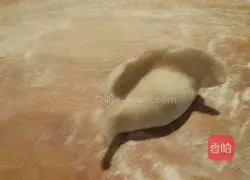 Pork and Mushroom Dumplings Recipe Illustration 13