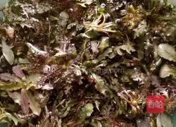 Wild vegetable dumplings Illustration of how to do it 1