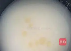 Illustration of home-style braised sausage rice 13