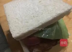 Illustration of homemade sandwiches 12
