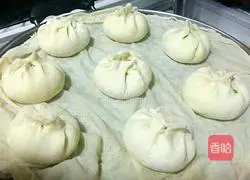 Zucchini buns recipe 11