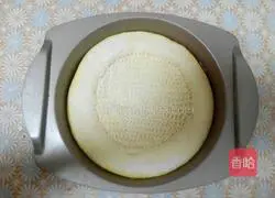 Pizza dough recipe 9