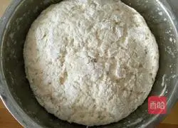 Illustration of how to make pork and zucchini steamed buns 10