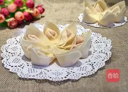 Illustration of how to make wontons 12