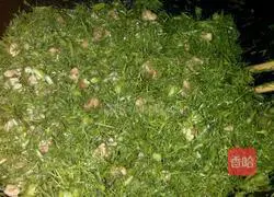 Illustration of how to make fennel and diced meat pancakes 9