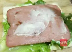 Sandwich Illustration of how to do it 7