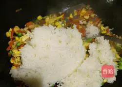 Assorted Fried Rice Recipe Illustration 12 