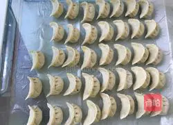 Illustration of how to make pork and leek dumplings 14