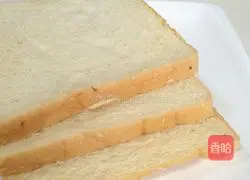 Simple Sandwich Recipe Illustration 1