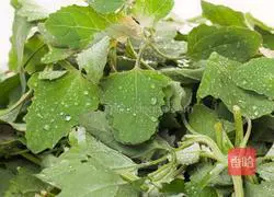 Illustration of making Huihui vegetable and pork pie 1