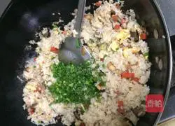 Assorted Fried Rice Recipe Illustration 8