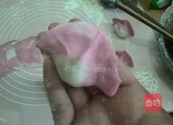 Illustration of how to make wild amaranth dumplings 17