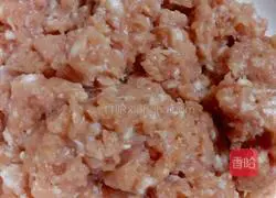 Dumpling fillings Illustration of how to do it 1