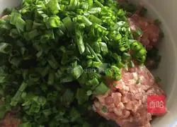 Illustration of homemade meatball wontons 1