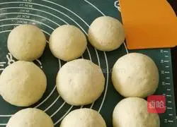Illustration of how to make bean dregs steamed buns 6
