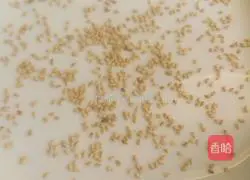 Illustration of how to make pan-fried purple potato cake 7