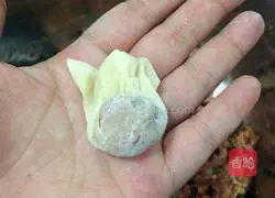 Illustration of how to make minced pork wontons 6