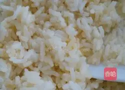 Golden Egg Fried Rice Recipe Illustration 1