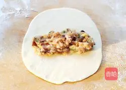 Illustration of how to make pot stickers and dumplings 10