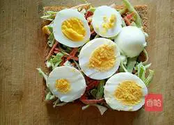 Pastoral Sandwich Recipe Illustration 7