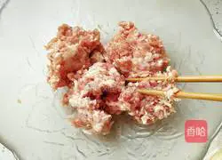 Illustration of how to make wonton stuffing 2