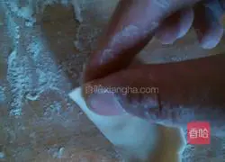 Illustration of how to wrap dumplings 9