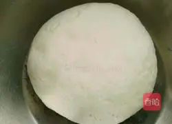 Illustration of making mushroom and pork dumplings 4