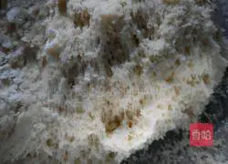 Illustration of how to make bean dregs steamed buns 10