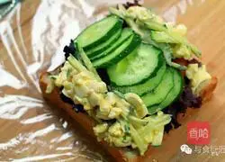 Variety of sandwich recipes 6