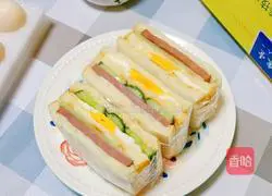 Beef and Egg Sandwich Recipe Illustration 15