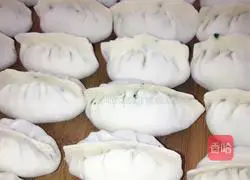 Illustration of how to make vegetarian dumplings 5