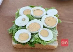 Tuna cheese sandwich recipe 4