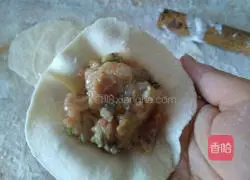 Pork and cabbage dumplings recipe 14