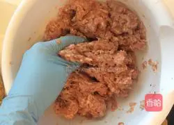 Illustration of how to make wontons 4