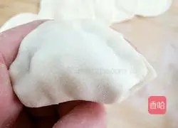 Illustration of how to make vegetarian three fresh dumplings 13