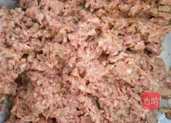 Illustration of making dumplings stuffed with mustard mustard and pork stuffing 3