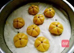 Pumpkin pie recipe 10