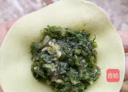 Illustration of how to make pork and fennel dumplings 13