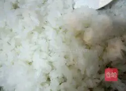 Colorful Fried Rice Recipe Illustration 4