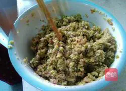 Pork and Cabbage Dumplings Recipe Illustration 7