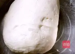 Illustration of how to make pork, shrimp, cabbage dumplings 1