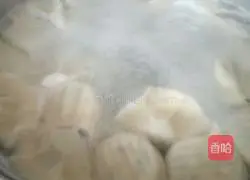 Illustration of how to make pork and leek dumplings 15