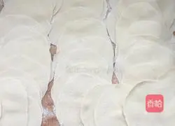 Pocket of meat dumplings Practice illustration 4