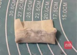 Illustration of how to make spring rolls with wonton wrappers 5