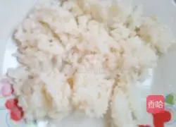 Egg Fried Rice Recipe Illustration 3