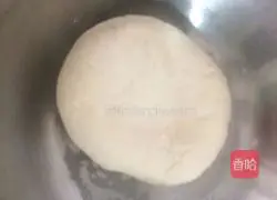 2-year-old children's version~Illustration of how to make watermelon rind and meat wontons 1