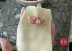 Illustration of how to make small wontons 3