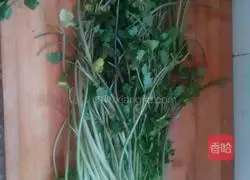 Illustration of how to make coriander and pork dumplings 3