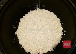 Illustration of rice cooker braised pork ribs 9